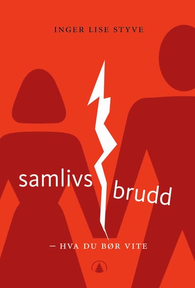 Samlivsbrudd-hva du bør vite (E-bok)