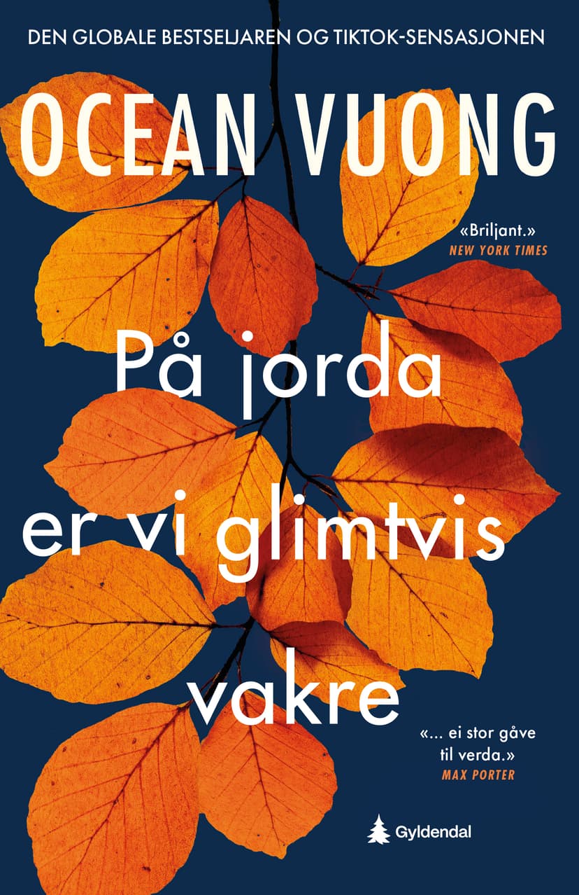 På jorda er vi glimtvis vakre