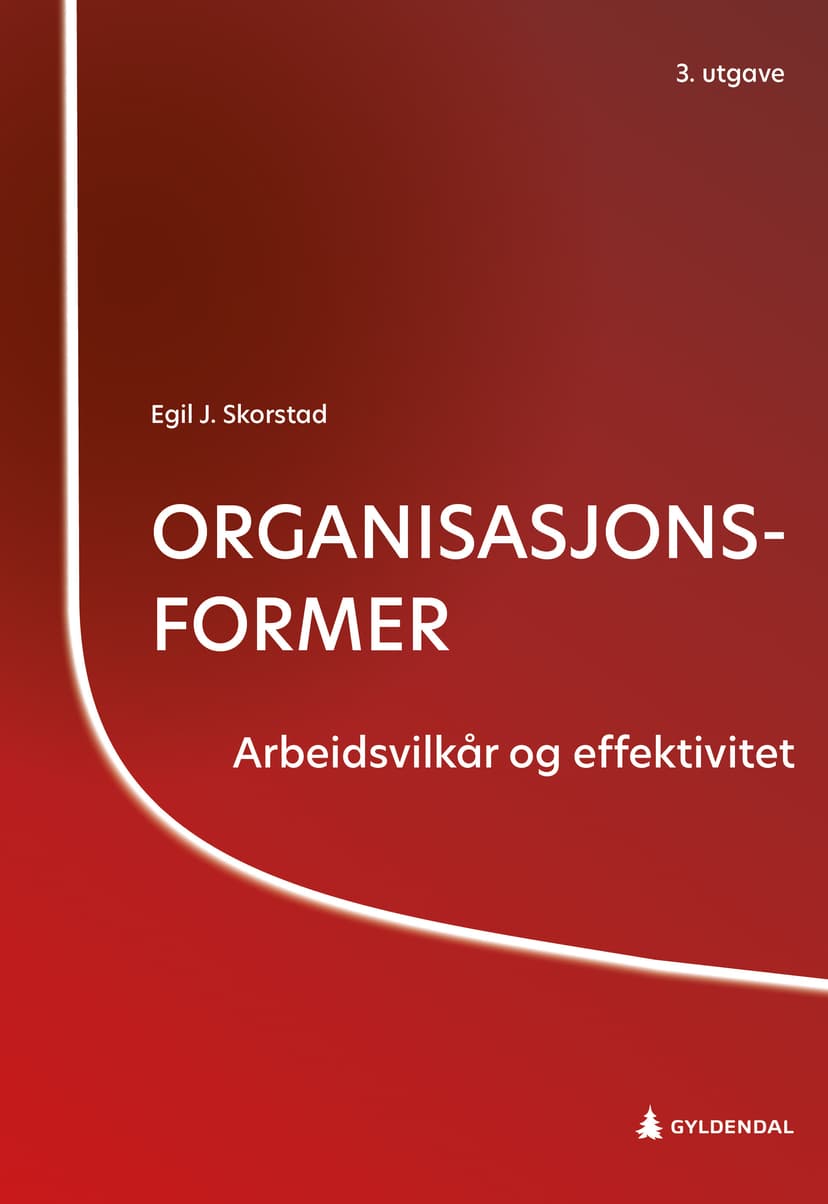 Organisasjonsformer