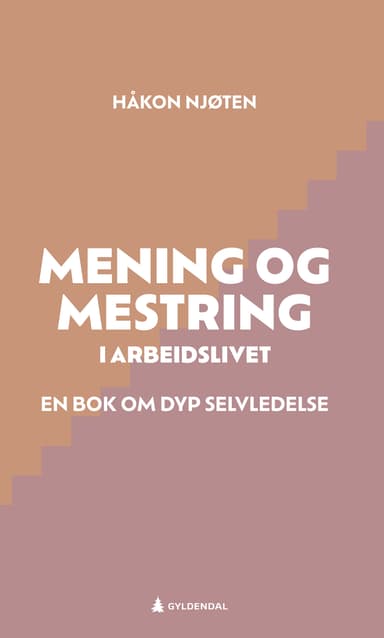 Mening og mestring i arbeidslivet