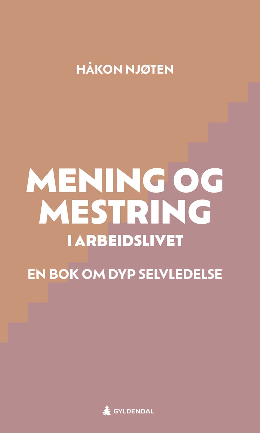 Mening og mestring i arbeidslivet