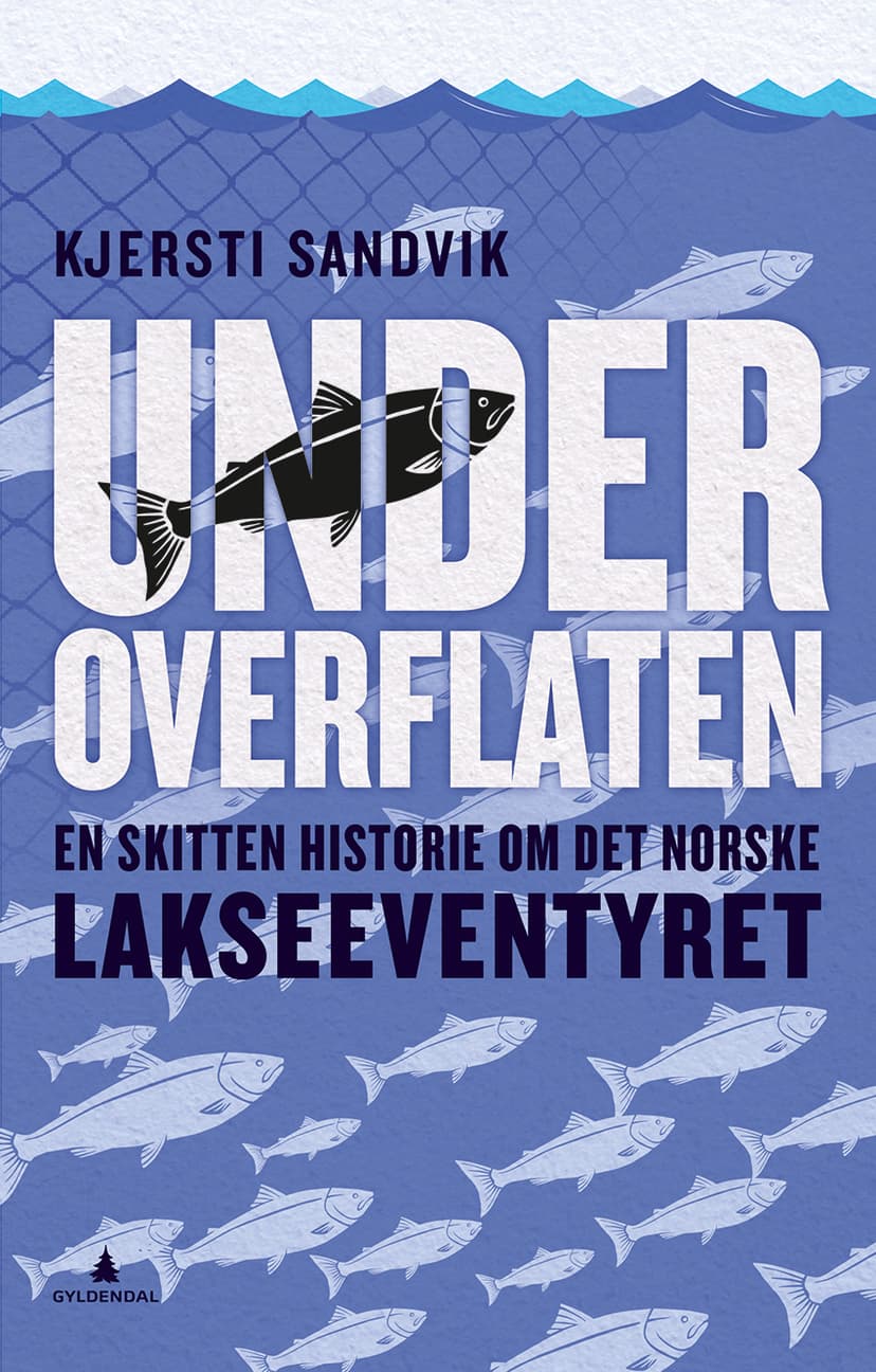 Under overflaten (E-bok)