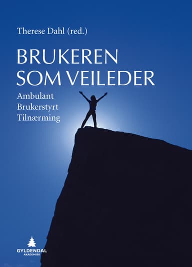 Brukeren som veileder