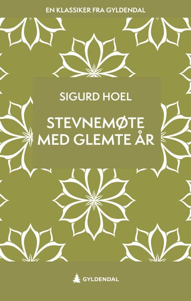 Stevnemøte med glemte år (E-bok)