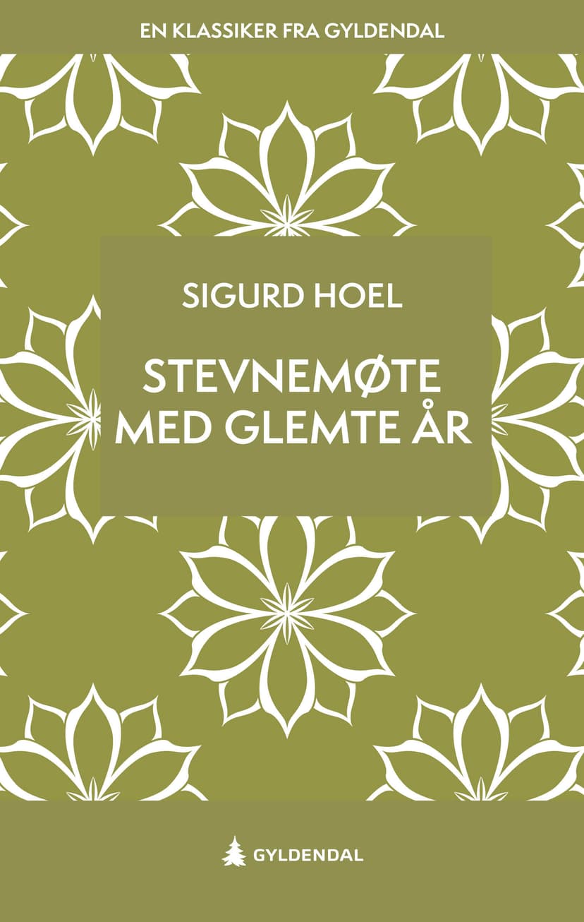 Stevnemøte med glemte år (E-bok)