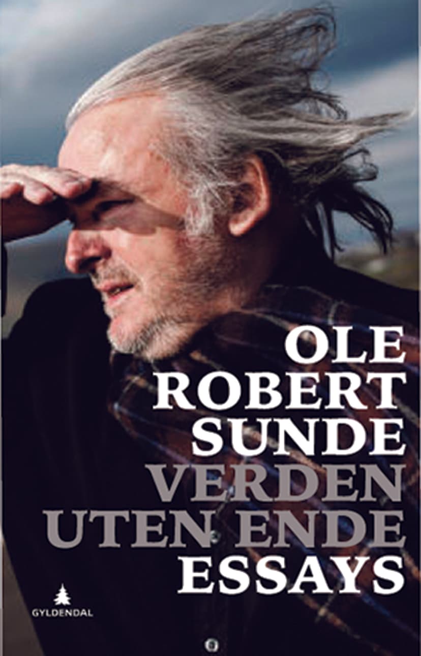 Verden uten ende (E-bok)