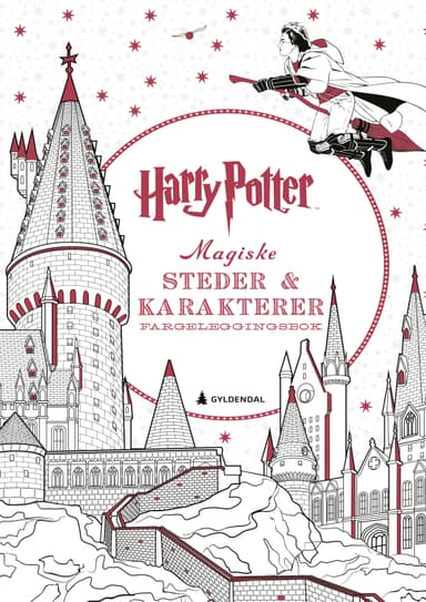 Harry Potter Magiske steder & karakterer