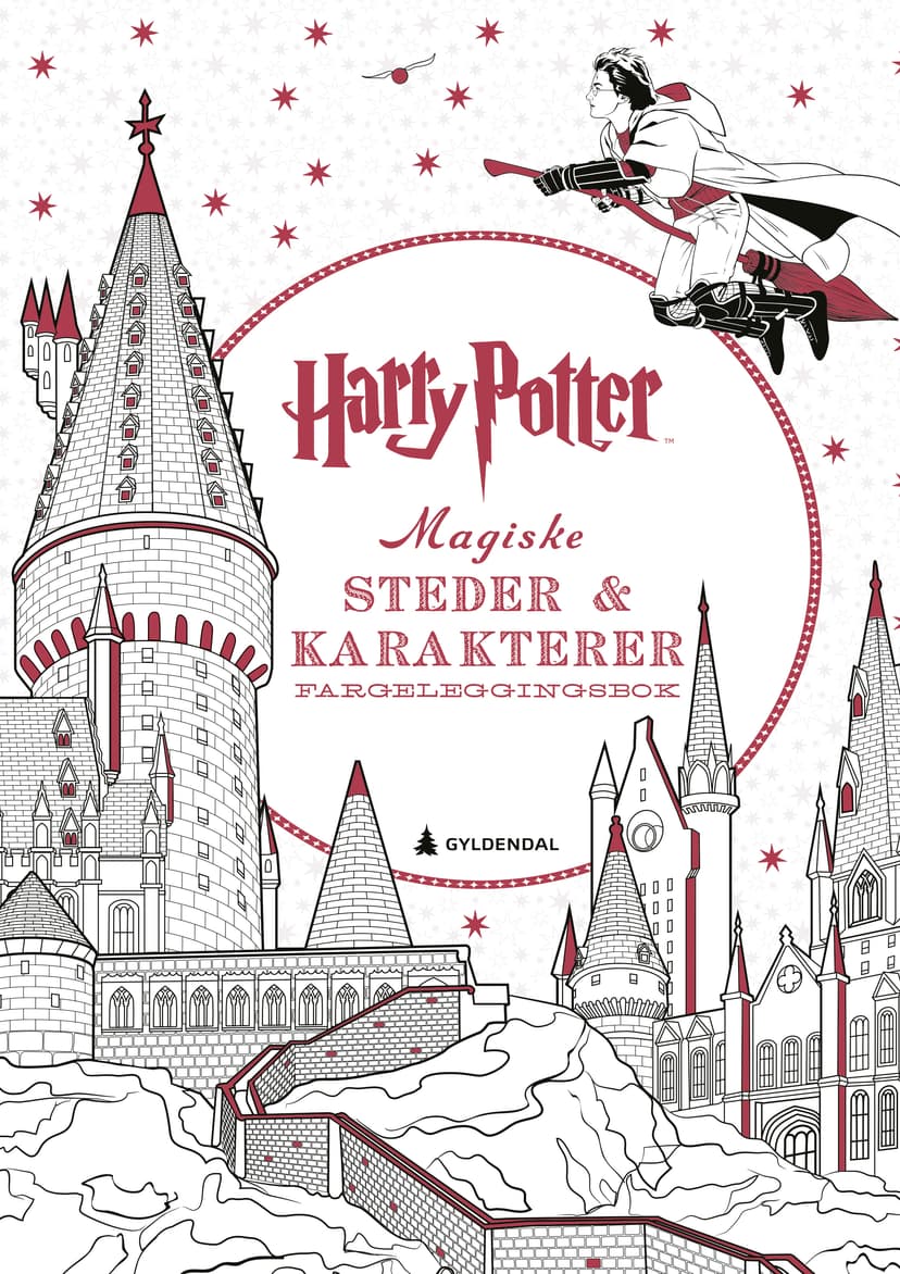 Harry Potter Magiske steder & karakterer