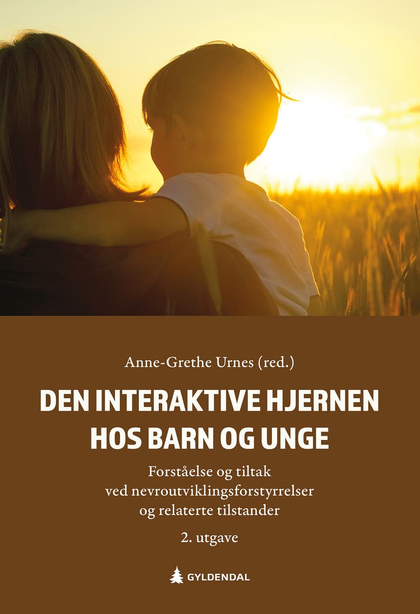 Den interaktive hjernen hos barn og unge