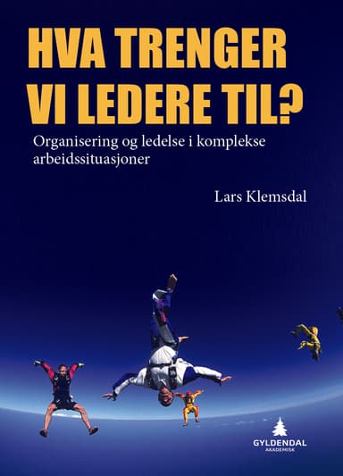 Hva trenger vi ledere til?