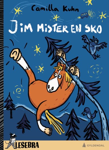 Jim mister en sko