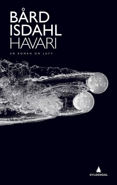 Havari (e-bok)