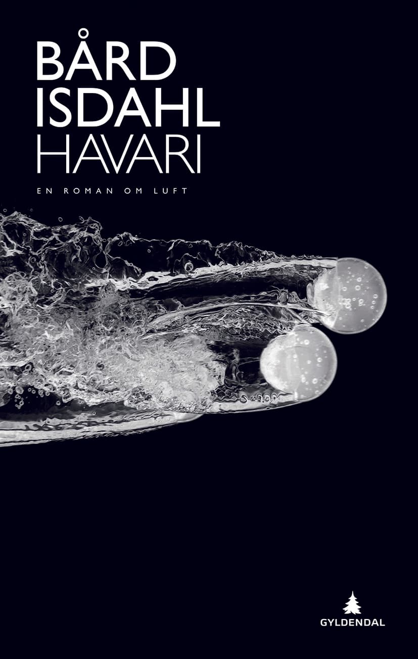 Havari (e-bok)