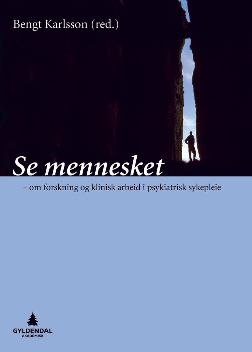 Se mennesket (E-bok)