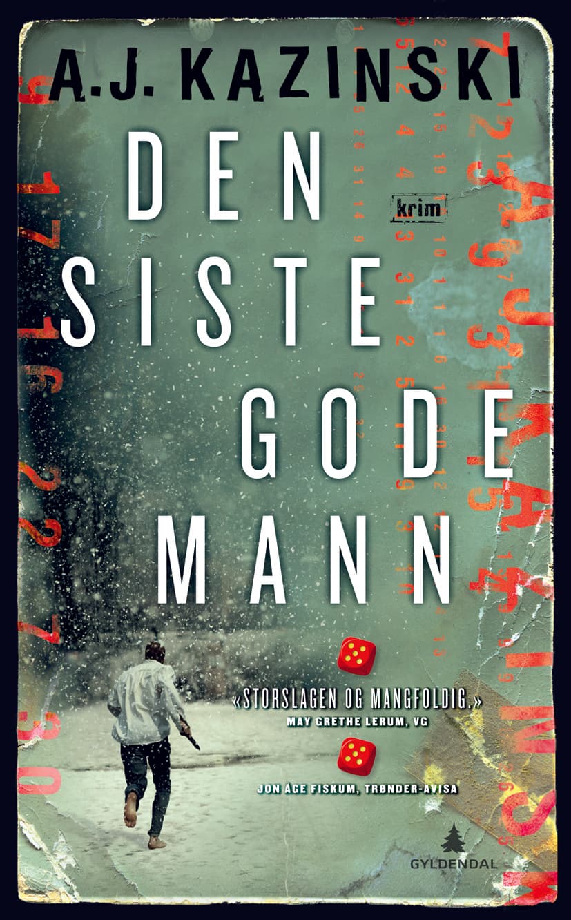 Den siste gode mann E-bok