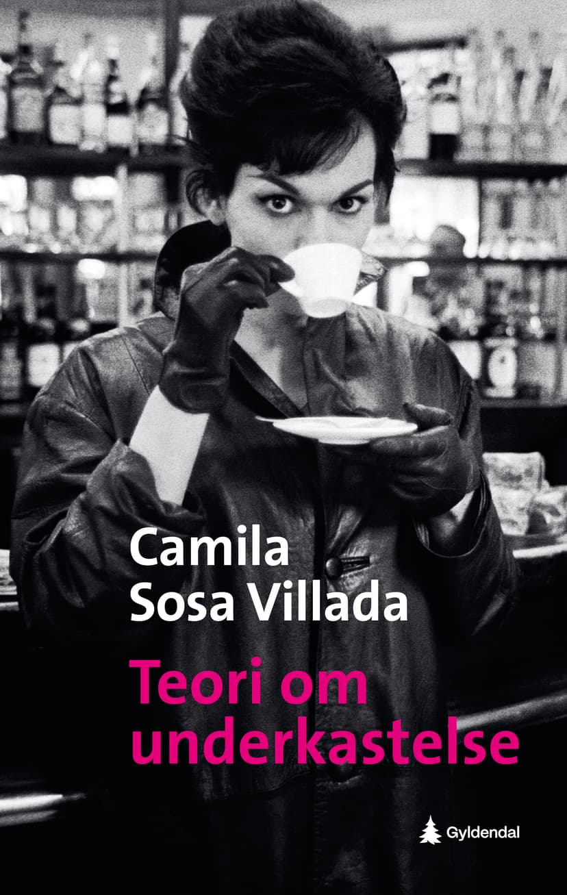 Teori om underkastelse