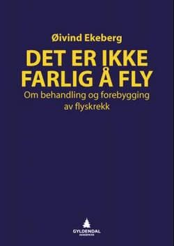 Det er ikke farlig å fly (E-bok)