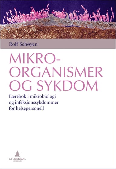 Mikroorganismer og sykdom